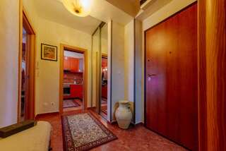 Апартаменты Living apartment Подгорица Апартаменты Делюкс-15